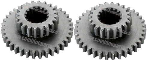 dual large gears
