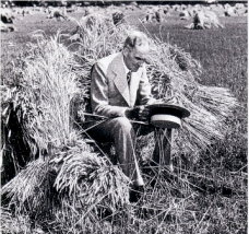 Henry Ford in hemp field