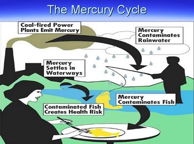 mercury health threat from coal