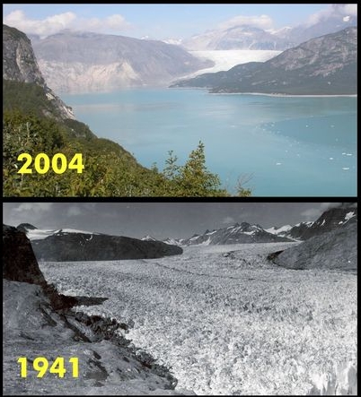 Muir-Glacier, Glacier-nat-park