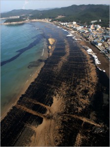 oil-spill-July-2010-New Orleans beaches