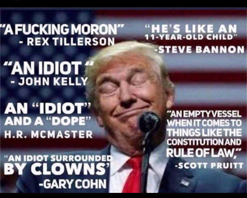 those who work with him: Trump is an idiot